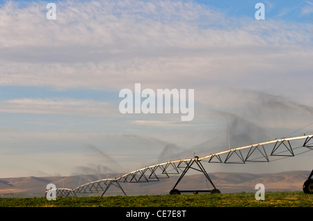 Bewässerung der Landwirtschaft Stockfoto