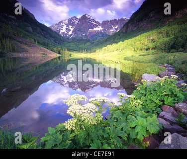 Sonnenaufgang am Maroon Bells spiegelt sich in Maroon Lake in Snowmass-Maroon Bells Wildnis außerhalb Aspen Colorado Stockfoto