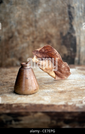 Blatt in einem antiken Tintenfass fotografiert. Stockfoto