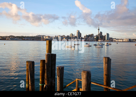 Dawn Blick auf Hafen und Stadt Skyline von Devonport Waterfront. Auckland, Nordinsel, Neuseeland Stockfoto