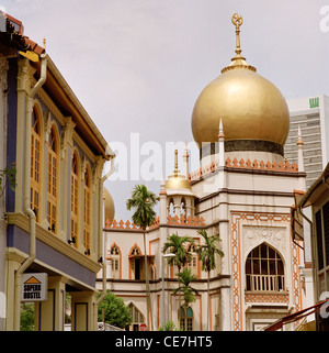 Kuppel der Moschee Masjid in Maskat Straße im arabischen Viertel Kampong Glam in Singapur Fernost Südostasien. Islamische arabisch muslimischen Stockfoto