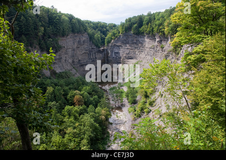 Taughannock Falls in Taughannock Falls State Park. Finger Lakes Region des Staates New York. Stockfoto