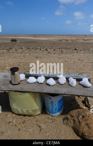 Tablet-entlang der Straße mit einem Display von Salzkristallen zu verkaufen. Skelettküste, Namibia. Stockfoto