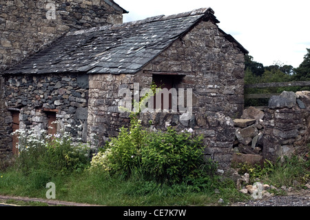 alte Schuppen herunterfallen Stockfoto