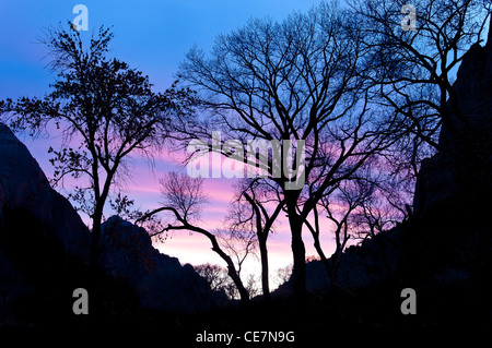 Sonnenuntergang vom Zion Park Lodge, Virgin-River-Canyon, Zion Nationalpark, Utah. Stockfoto