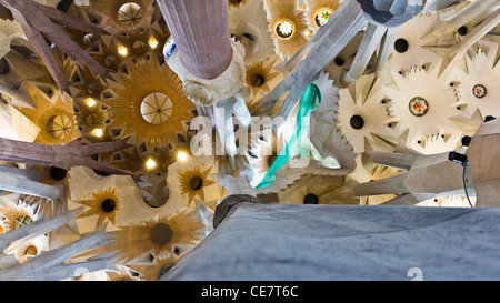 Decke von Gaudi Kathedrale, die Sagrada Familia - eines der bekanntesten touristischen Attraktionen in Barcelona, Spanien Stockfoto