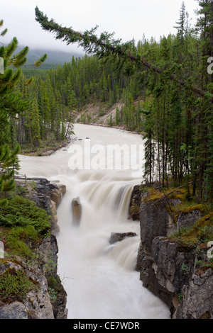 Upper Sunwapta Falls, Jasper Nationalpark, Alberta, Kanada Stockfoto