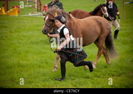 Ponys auf der lokalen Land-Messe Stockfoto