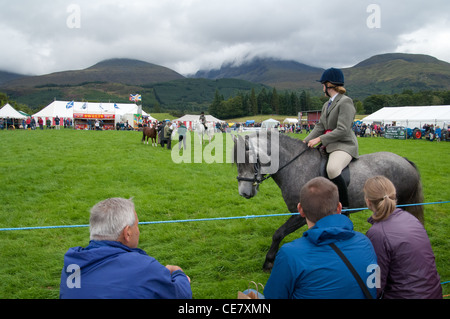 Ponys auf der lokalen Land-Messe Stockfoto