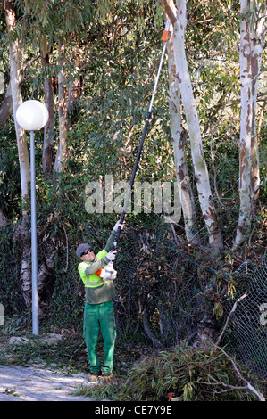 Hecke schneiden Workman, Calypso, Mijas Costa, Provinz Malaga, Costa Del Sol, Andalusien, Südspanien, Westeuropa. Stockfoto