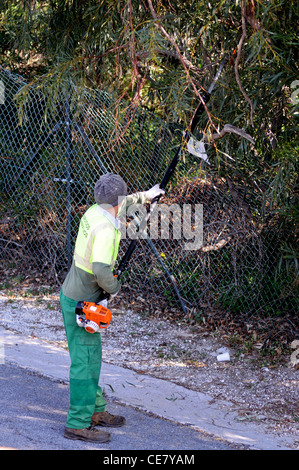 Hecke schneiden Workman, Calypso, Mijas Costa, Provinz Malaga, Costa Del Sol, Andalusien, Südspanien, Westeuropa. Stockfoto