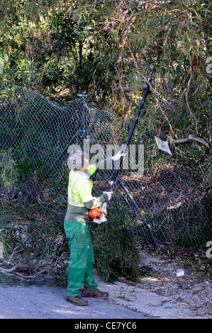 Hecke schneiden Workman, Calypso, Mijas Costa, Provinz Malaga, Costa Del Sol, Andalusien, Südspanien, Westeuropa. Stockfoto