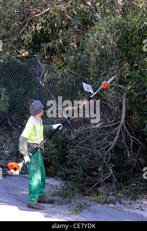 Hecke schneiden Workman, Calypso, Mijas Costa, Provinz Malaga, Costa Del Sol, Andalusien, Südspanien, Westeuropa. Stockfoto