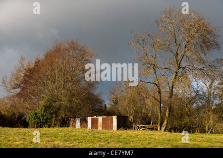 Rostige Unterschlupf in der britischen Landschaft im winter Stockfoto