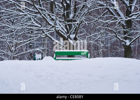 Horizontale Ansicht aus einer grünen Bank im Winter Park, mit frischem Schnee bedeckt. Freien Speicherplatz, um einen Text eingeben Stockfoto