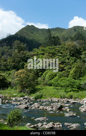 Blick über den Ohinemuri River in der Karangahake Gorge Stockfoto