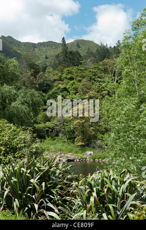 Blick über den Ohinemuri River in der Karangahake Gorge Stockfoto