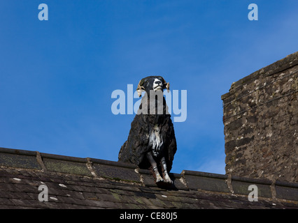 Handgeschnitzter Holzbalken auf einem Ziegeldach Stone Cottage; Statue auf dem Schieferdach des Craft Shop in Swaledale, North Yorkshire Dales, Großbritannien Stockfoto