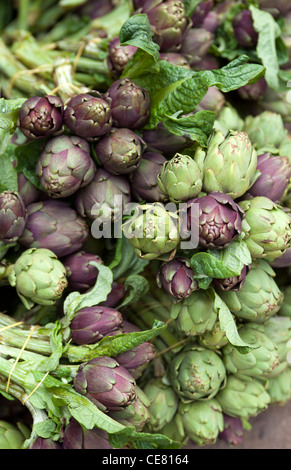 Artischocken auf den Verkauf an zentrale Markt Dalat Vietnam Stockfoto