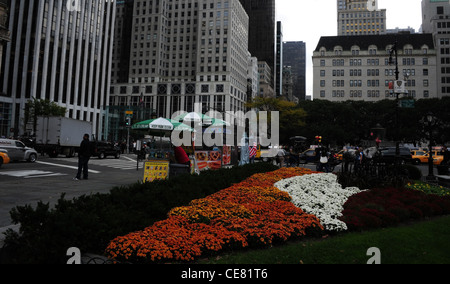 Grauen Himmel sehen orange weiße Blumenbeet, Leute, Bürgersteig Eis Stände, Wolkenkratzer, 5th Avenue, Grand Army Plaza, New York Stockfoto