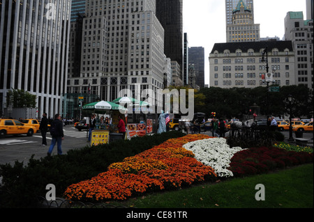 Graues Hochhaus Himmelsblick, orange weiße Blumen, Menschen, Autos, Bürgersteig Eis Ständen, Grand Army Plaza, 5th Avenue, New York Stockfoto