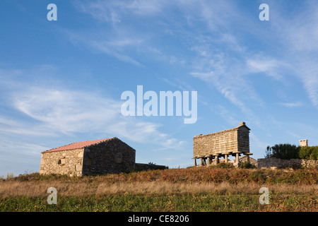 Stein-Getreidespeicher (Horreos) in der Nähe des Dorfes Touriñán bei Sonnenuntergang an der Costa da Morte - A Coruña Provinz, Galicien, Spanien. Stockfoto