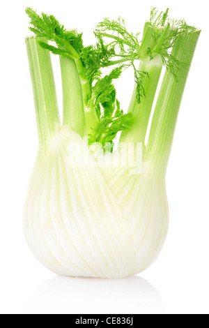 Fenchel Stockfoto