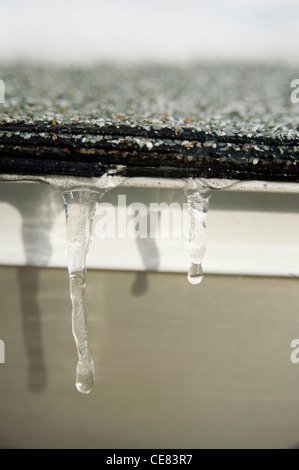 Nahaufnahme der schmelzende Eiszapfen auf Dach. Stockfoto