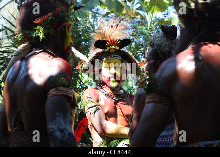 Huli Wigmen im südlichen Hochland von Papua-Neu-Guinea Stockfoto