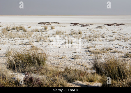 Etosha Pan in der Trockenzeit, Etosha Nationalpark, Namibia Stockfoto