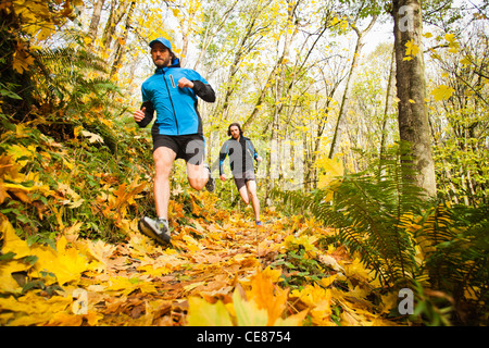 Zwei Männer Trail-running-durch einen Wald in den Farben des Herbstes. Stockfoto