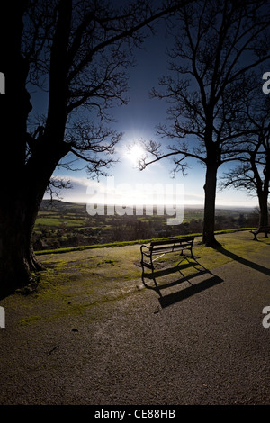 Lange Schatten am Park Walk, Shaftesbury im Winter, Dorset Stockfoto