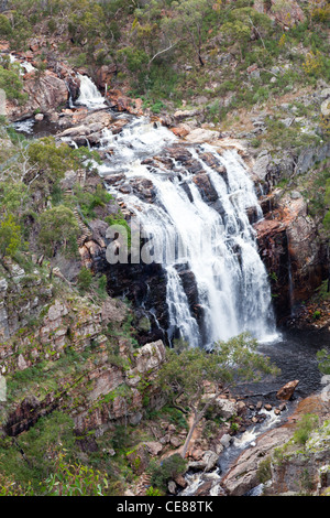 MacKenzie Falls Grampians National Park Stockfoto