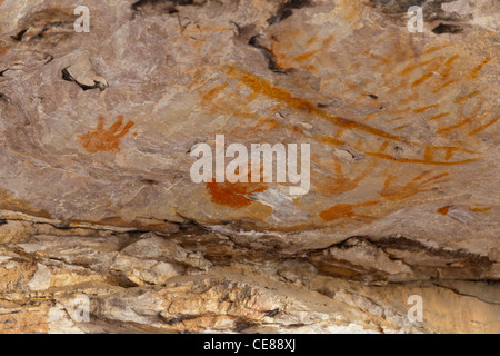 Gulgurn Manja Tierheim Grampians National Park Stockfoto