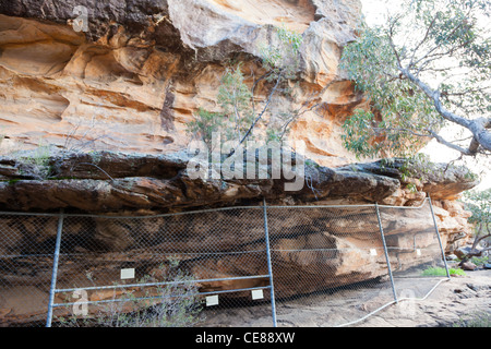 Gulgurn Manja Tierheim Grampians National Park Stockfoto