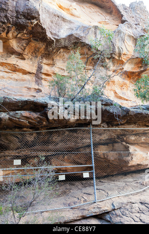 Gulgurn Manja Tierheim Grampians National Park Stockfoto