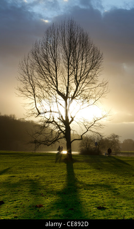 am frühen Morgenspaziergang im park Stockfoto