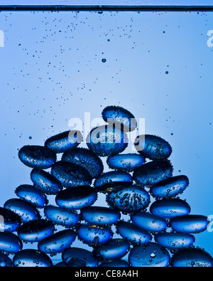 Blaues Glas Kiesel Unterwasser Aufnahme mit professionellen Mittelformat digital Blatt zurück. Stockfoto