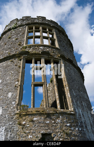 Carew Castle am Ufer des Flusses Carew in Pembrokeshire, South Wales. Stockfoto