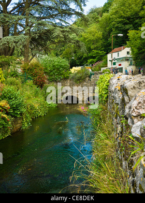 Cheddar Yeo Fluss in Cheddar Gorge in Somerset, England. Stockfoto