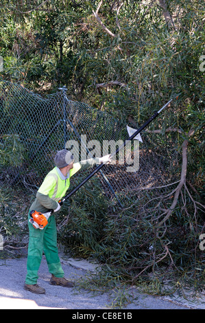 Hecke schneiden Workman, Calypso, Mijas Costa, Provinz Malaga, Costa Del Sol, Andalusien, Südspanien, Westeuropa. Stockfoto