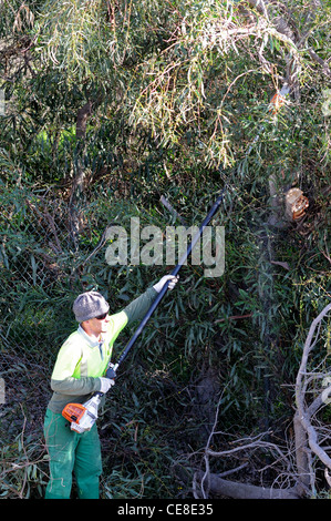 Hecke schneiden Workman, Calypso, Mijas Costa, Provinz Malaga, Costa Del Sol, Andalusien, Südspanien, Westeuropa. Stockfoto