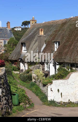 Alten strohgedeckten Cottages in Cornwall Dorf. Cadgwith, Cornwall, England, Großbritannien, Großbritannien Stockfoto