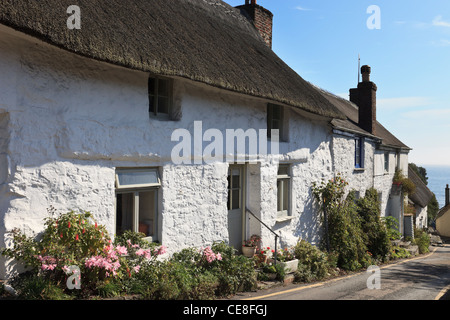 Reihe von malerischen weißgetünchten alten strohgedeckten Hütten im malerischen Cornwall Dorf im Sommer. Cadgwith Cornwall England UK Großbritannien Stockfoto