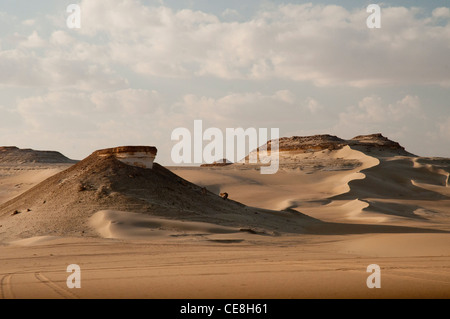 Sanddünen in das große Sandmeer, westliche Wüste, Ägypten Stockfoto