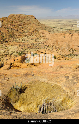 Runde erodierten Eindruck an den Flanken der Spitzkoppe gefüllt mit Gras- und Kaktus. Damaraland, Namibia. Stockfoto