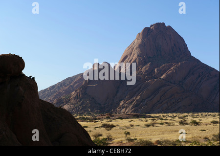 Die Gipfel der Spitzkoppe. Drei Damane (Procavia Capensis) auf dem linken Felsen übersehen die schlichte Damaraland, Namibia. Stockfoto