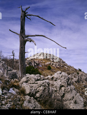 TEXAS - abgerundeten Gipfel des 8749-Fuß Guadalupe Peak, dem höchsten Punkt in Texas, befindet sich in Guadalupe Mountains Nationalpark. Stockfoto