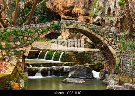 Der Trofonion Oracle (oder "Oracle des Trofonios Zeus") das "merkwürdigsten" antike griechische Orakel, Kria Federn, Livadia Stadt Stockfoto