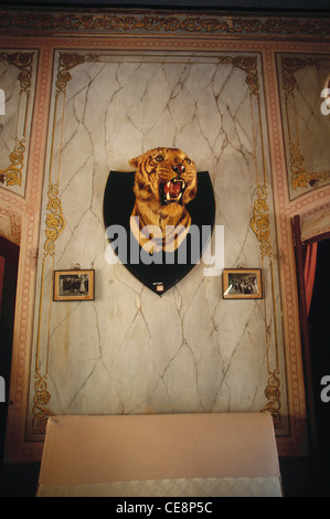 RSC 81017: gefüllte Tiger als Trophäe in Sharad Bahar Palast Bhuj Kutch Gujarat Indien angezeigt Stockfoto